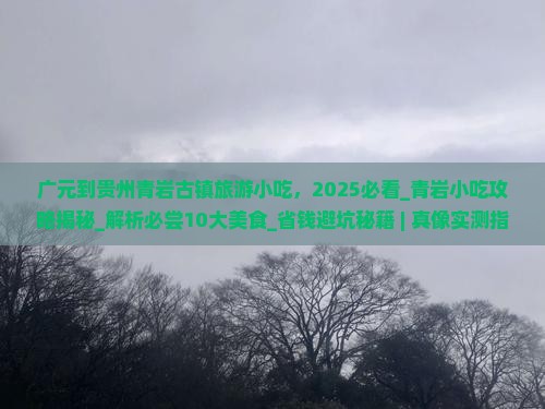 广元到贵州青岩古镇旅游小吃