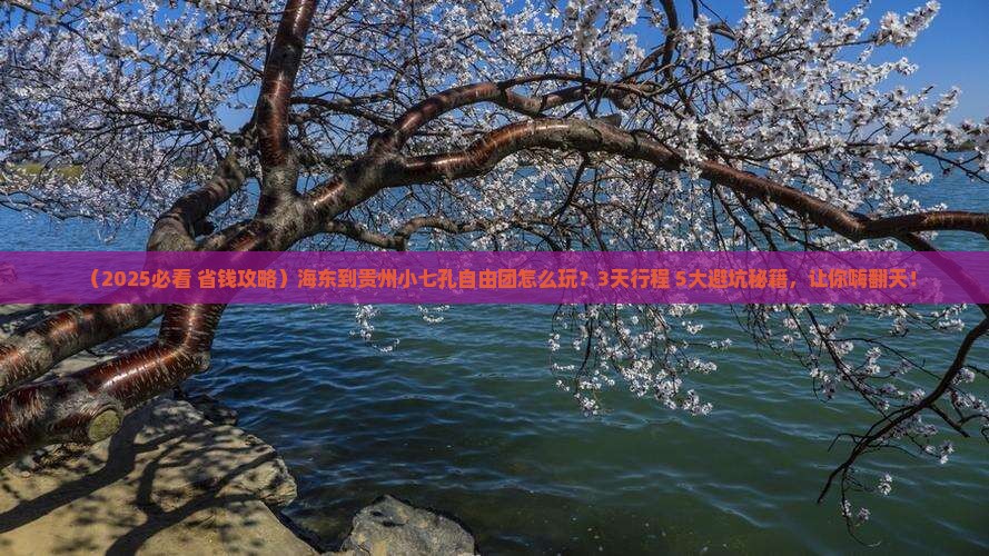 海东到贵州小七孔自由团 海东到贵州小七孔自由团