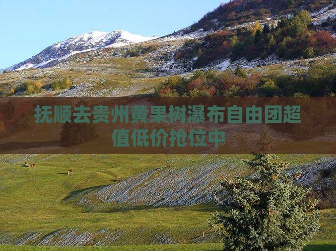 抚顺去贵州黄果树瀑布自由团