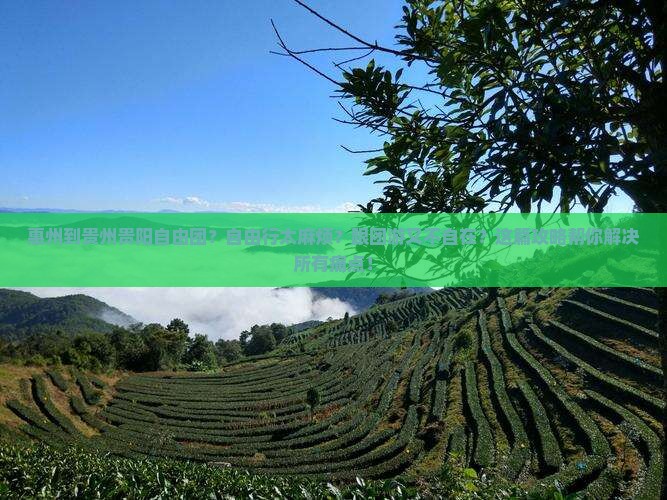 惠州到贵州贵阳自由团