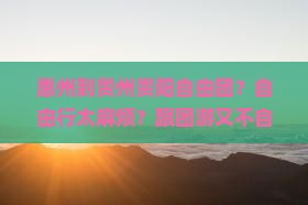 惠州到贵州贵阳自由团