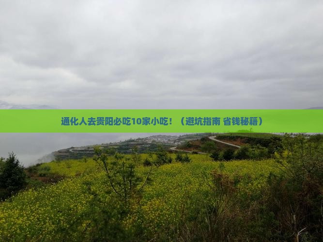 通化去贵州贵阳旅游小吃