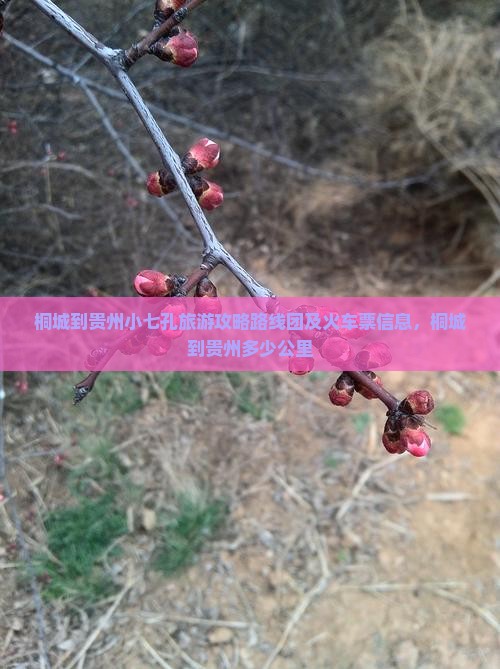 桐城到贵州小七孔旅游
