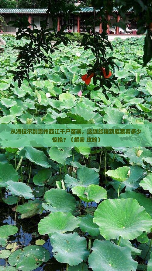 海拉尔到贵州西江千户苗寨必去地