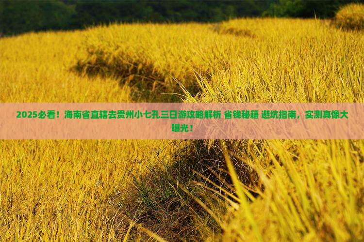 海南省直辖去贵州小七孔三日游