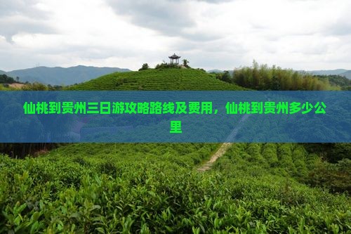 仙桃到贵州三日游