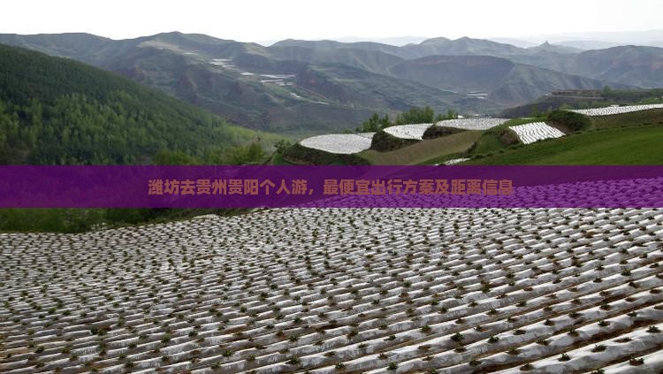 潍坊去贵州贵阳个人游