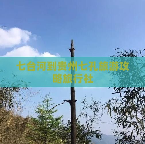 七台河到贵州小七孔旅行社
