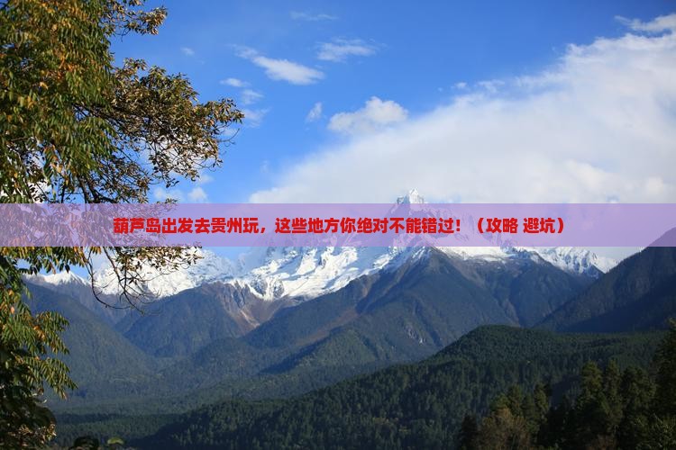 葫芦岛去贵州哪里玩