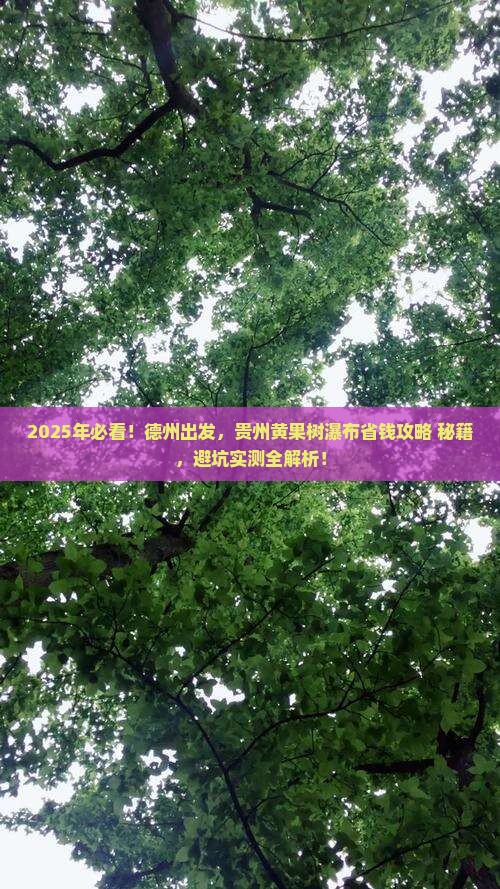 德州去贵州黄果树瀑布景点