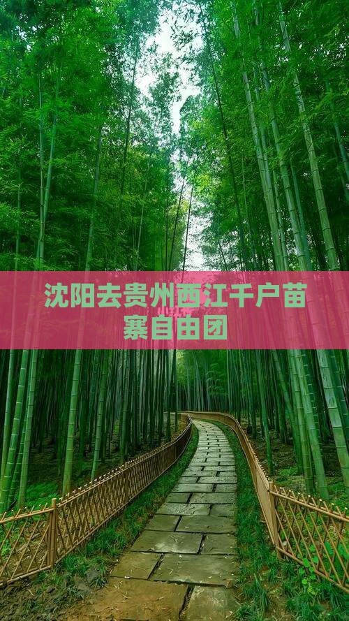 沈阳去贵州西江千户苗寨自由团