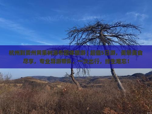 杭州到贵州黄果树瀑布团体旅游