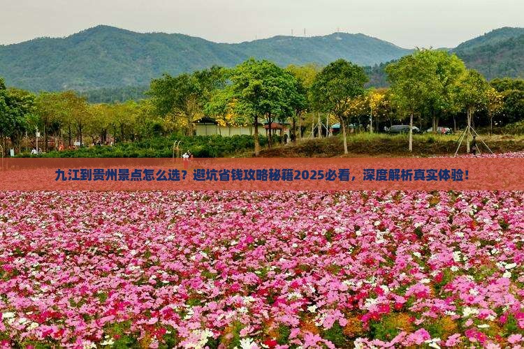 九江到贵州景点