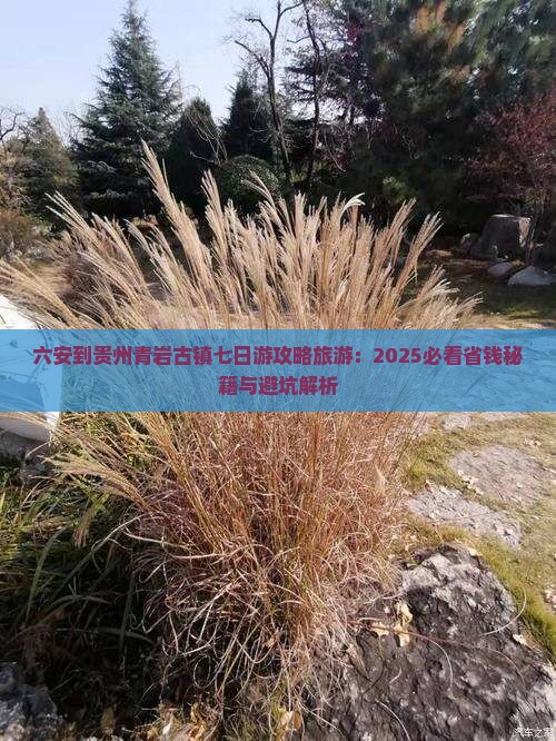六安到贵州青岩古镇七日游