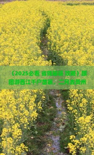 二月去贵州西江千户苗寨大型旅游团