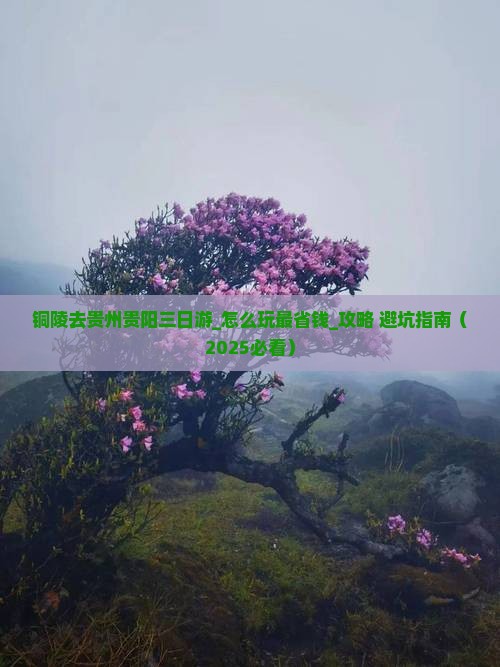 铜陵去贵州贵阳三日游