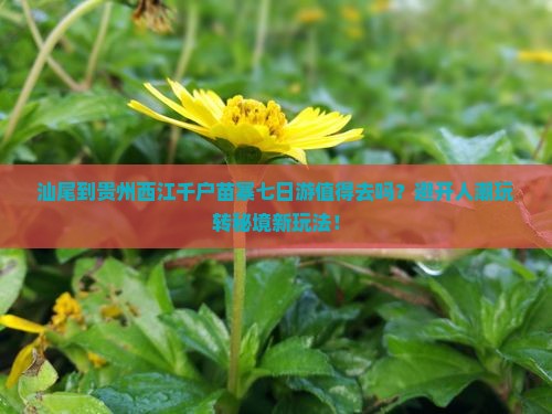 汕尾到贵州西江千户苗寨七日游