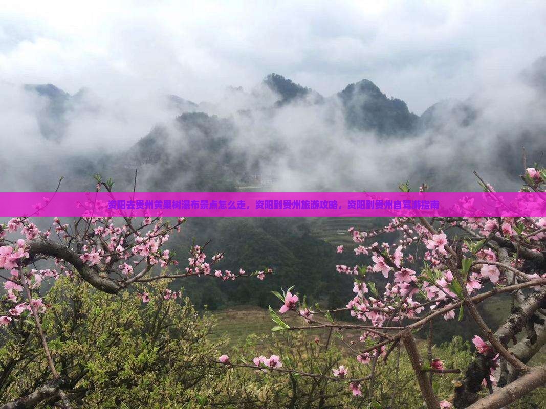 资阳去贵州黄果树瀑布景点