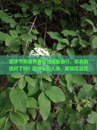 国庆节到贵州青岩古镇自由行