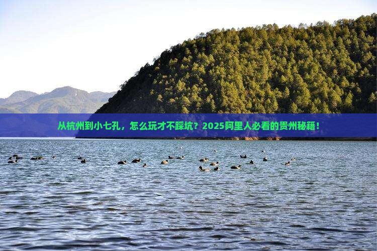 阿里到贵州小七孔攻略