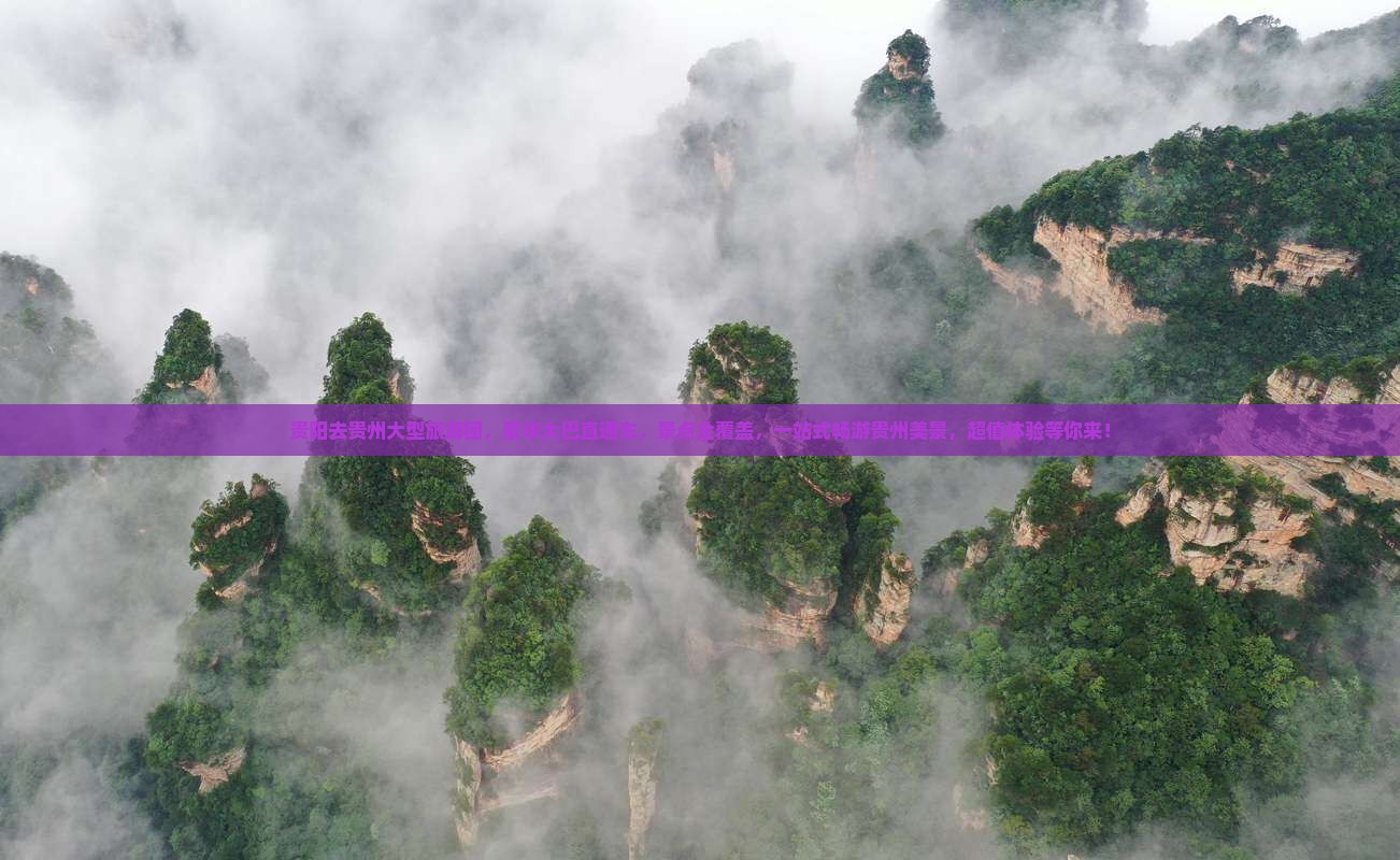 贵阳去贵州大型旅游团