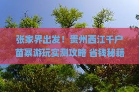 张家界到贵州西江千户苗寨哪里玩