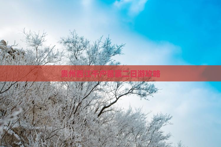 延边去贵州西江千户苗寨二日游
