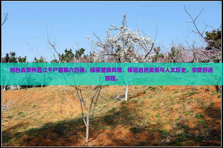 邢台去贵州西江千户苗寨六日游