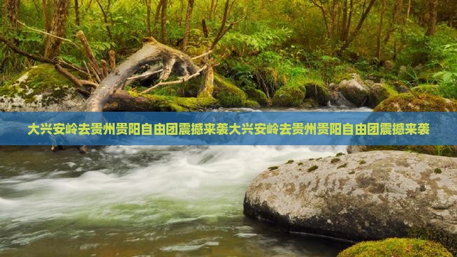 大兴安岭去贵州贵阳自由团