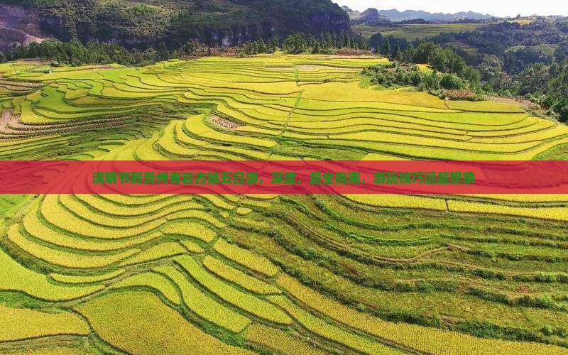 清明节到贵州青岩古镇五日游