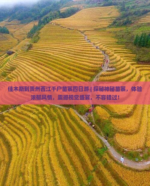 佳木斯到贵州西江千户苗寨四日游