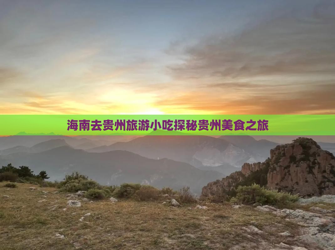 海南去贵州旅游小吃