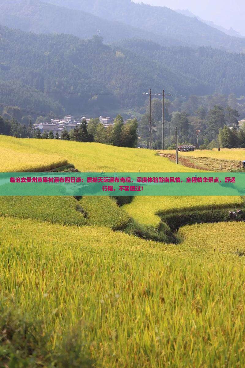临沧去贵州黄果树瀑布四日游