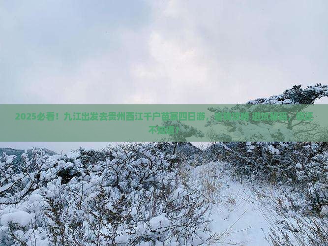 九江到贵州西江千户苗寨四日游