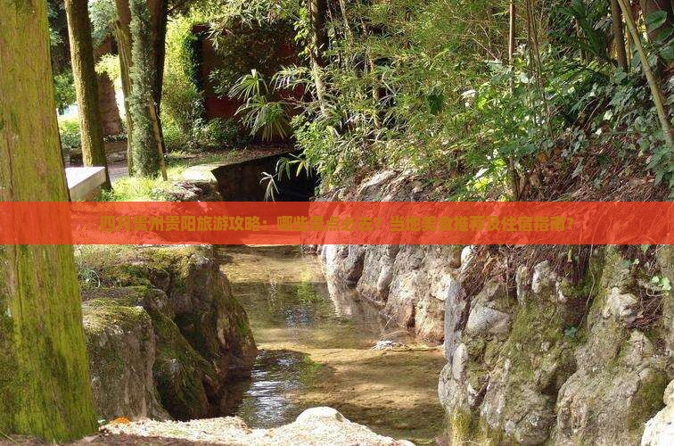 四月贵州贵阳旅游攻略：哪些景点必去？当地美食推荐及住宿指南？