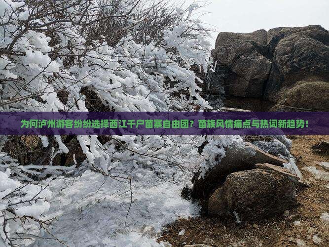 为何泸州游客纷纷选择西江千户苗寨自由团？苗族风情痛点与热词新趋势！
