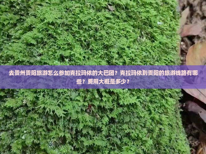 去贵州贵阳旅游怎么参加克拉玛依的大巴团？克拉玛依到贵阳的旅游线路有哪些？费用大概是多少？