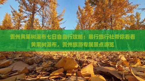 贵州黄果树瀑布七日自由行攻略：易行旅行社带你看看黄果树瀑布，贵州旅游专属景点游览