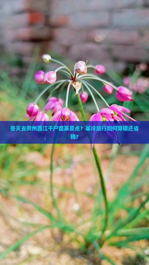 冬天去贵州西江千户苗寨景点？寒冷旅行如何穿暖还省钱？