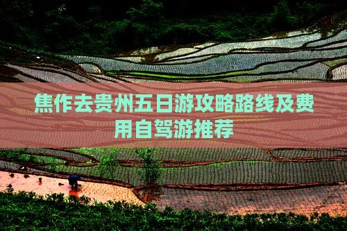 焦作去贵州五日游攻略路线及费用自驾游推荐