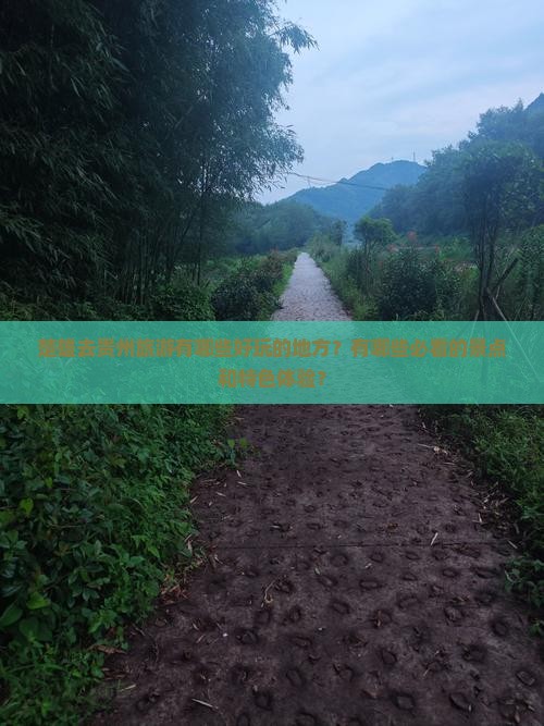 楚雄去贵州旅游有哪些好玩的地方？有哪些必看的景点和特色体验？