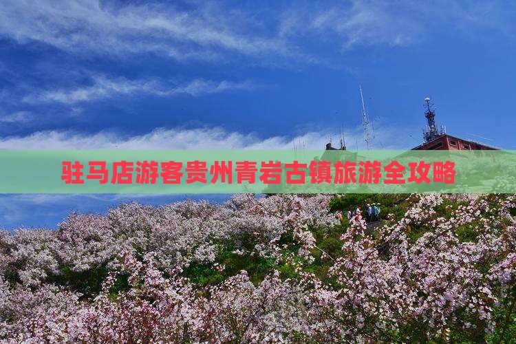 驻马店游客贵州青岩古镇旅游全攻略