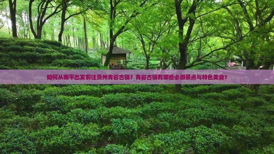 如何从南平出发前往贵州青岩古镇？青岩古镇有哪些必游景点与特色美食？