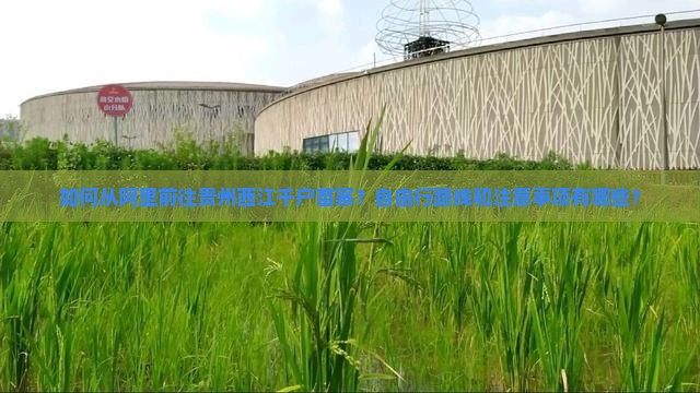 如何从阿里前往贵州西江千户苗寨？自由行路线和注意事项有哪些？
