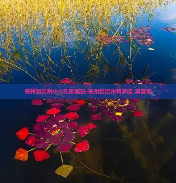 亳州到贵州小七孔哪里玩-亳州到贵州有多远-票查询