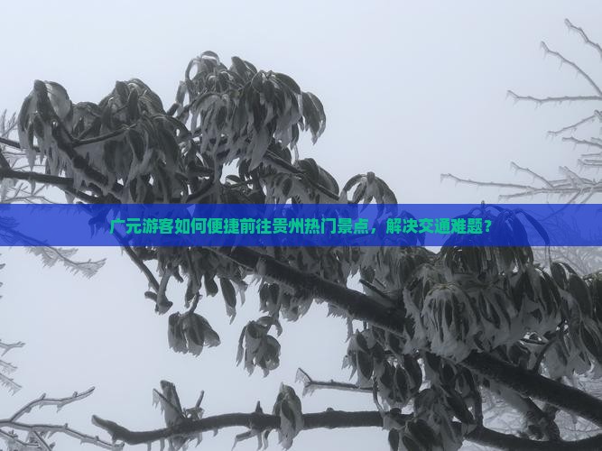 广元游客如何便捷前往贵州热门景点，解决交通难题？