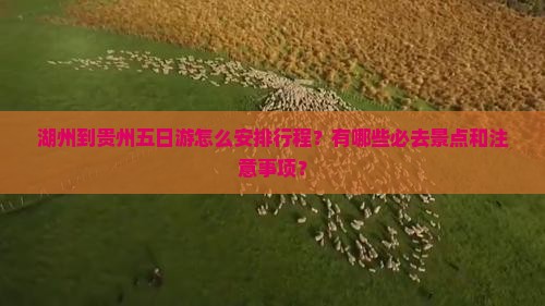 湖州到贵州五日游怎么安排行程？有哪些必去景点和注意事项？