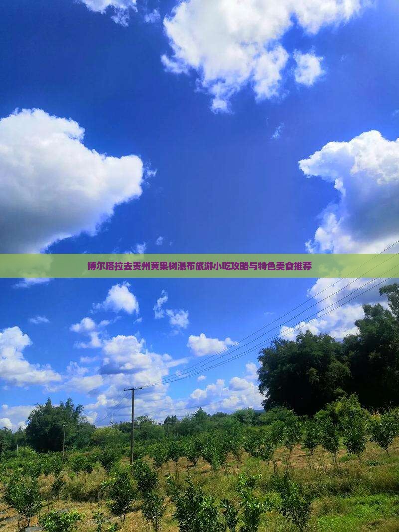 博尔塔拉去贵州黄果树瀑布旅游小吃攻略与特色美食推荐