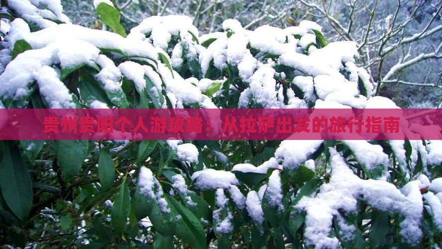 贵州贵阳个人游攻略：从拉萨出发的旅行指南