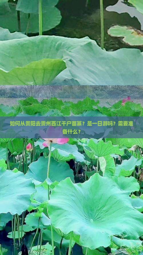 如何从贵阳去贵州西江千户苗寨？是一日游吗？需要准备什么？